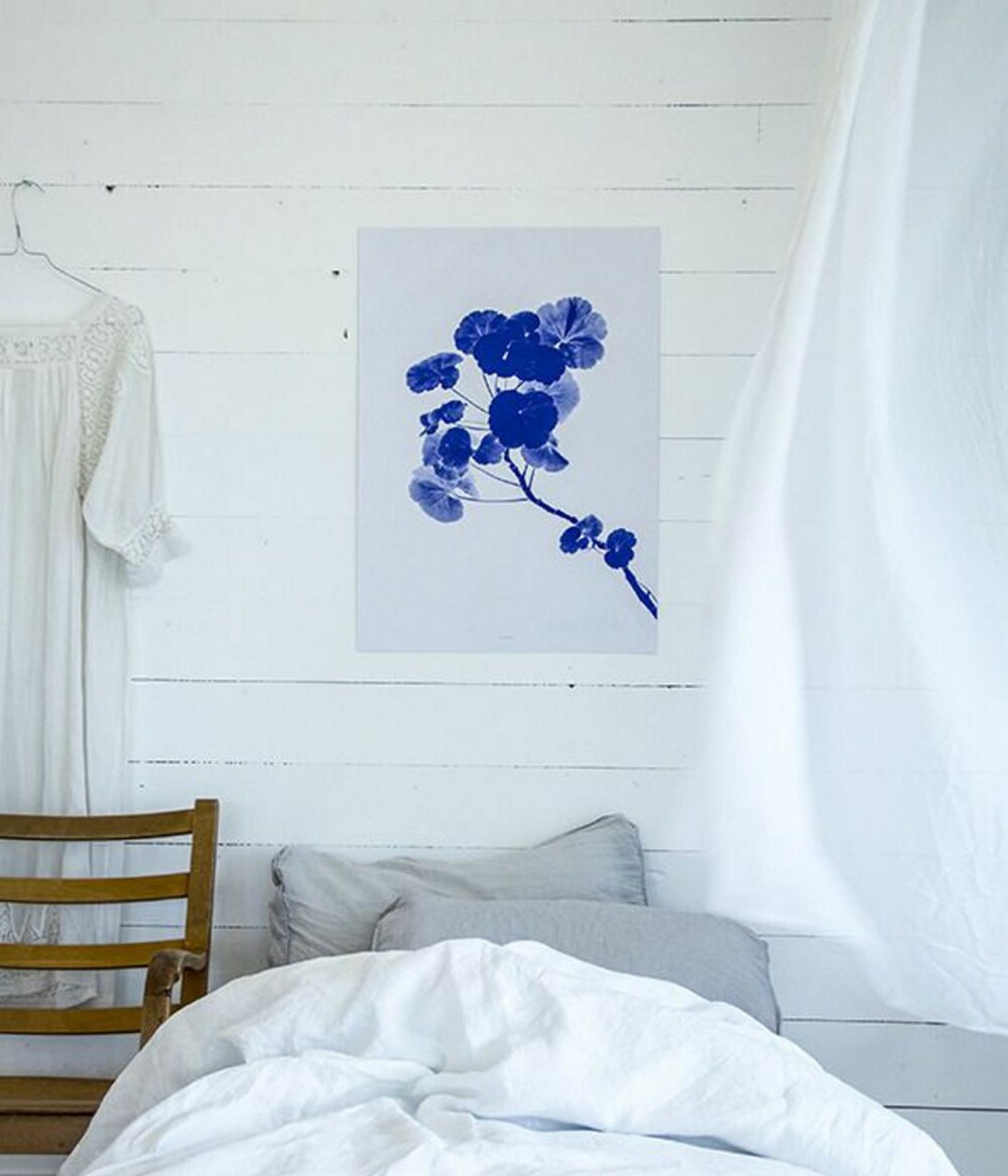 POPULÆR: Plakaten Blue Pelargonia fra designbyrået Hysj, har mange falt for. POPULÆR: Plakaten Blue Pelargonia fra designbyrået Hysj, har mange falt for.