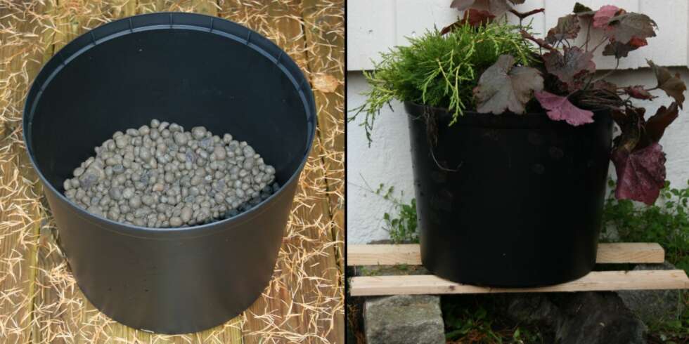 VIKTIGE TIPS: Husk å alltid ha fiberduk og lecakuler i bunnen av en potte før du heller i jord og planter. Det sikrer at overflødig vann renner ut. Og før vinteren må du sette potta høyt, gjerne oppe noen trebiter. Det hindrer at potta fryser fast i bakken eller sprekker på grunn av for mye is. VIKTIGE TIPS: Husk å alltid ha fiberduk og lecakuler i bunnen av en potte før du heller i jord og planter. Det sikrer at overflødig vann renner ut. Og før vinteren må du sette potta høyt, gjerne oppe noen trebiter. Det hindrer at potta fryser fast i bakken eller sprekker på grunn av for mye is.
