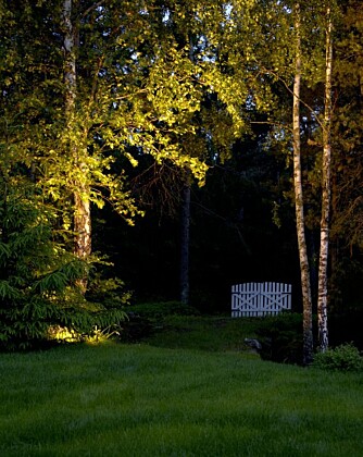 STEMNINGSFULLT: Det er effekten av lyset, og ikke lampens design
som er viktig. Her er lampen diskret plassert under en trekrone,
for at lyset skal gi trygghet og stemning ved hageporten. STEMNINGSFULLT: Det er effekten av lyset, og ikke lampens design
som er viktig. Her er lampen diskret plassert under en trekrone,
for at lyset skal gi trygghet og stemning ved hageporten.