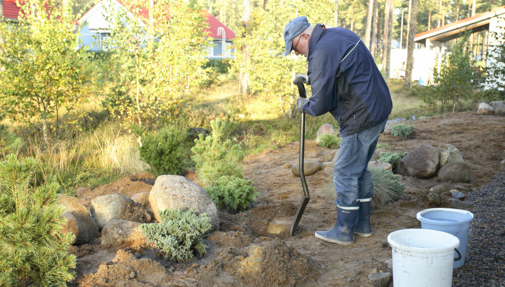 HØSTPLANTING: Høsten er en veldig fin å plante på. HØSTPLANTING: Høsten er en veldig fin å plante på.