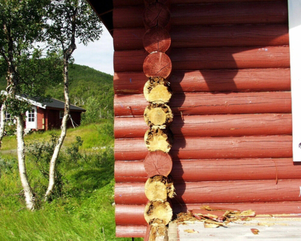 RÅTE I HYTTE: Lafteknuter er et utsatt punkt på hytter, men som en verditakst nødvendigvis ikke forteller noe om. (FOTO Mycoteam) RÅTE I HYTTE: Lafteknuter er et utsatt punkt på hytter, men som en verditakst nødvendigvis ikke forteller noe om. (FOTO Mycoteam)
