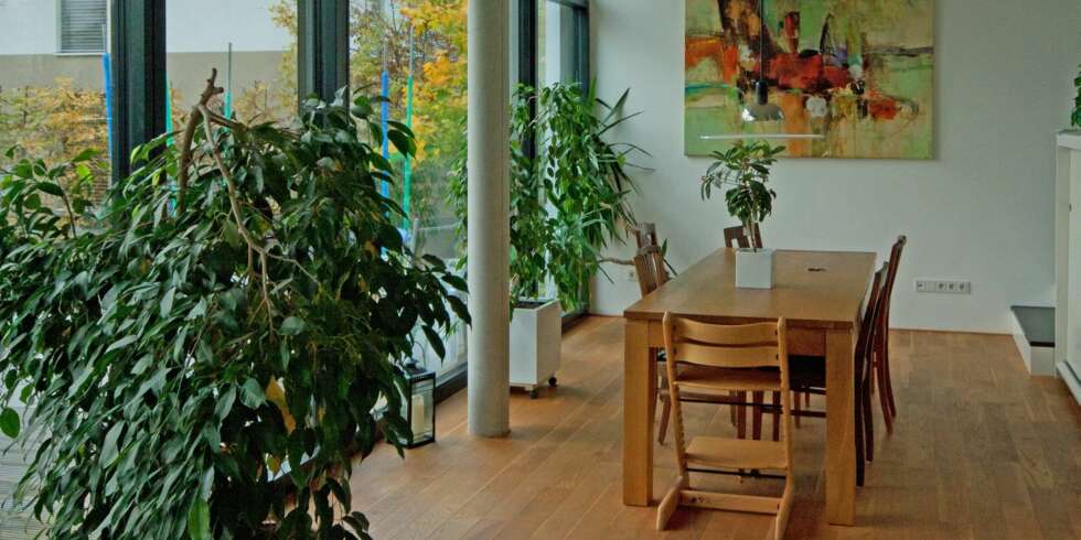 GRØNT INNEMILJØ: Ikke bare skaper grønne planter liv innendørs, men de har også en positiv helseffekt ved at de renser inneluften. GRØNT INNEMILJØ: Ikke bare skaper grønne planter liv innendørs, men de har også en positiv helseffekt ved at de renser inneluften.