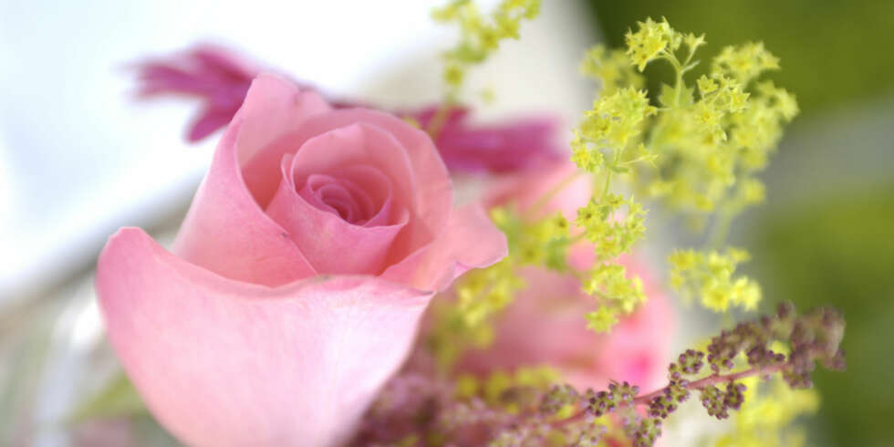 VELDUFT: Med blomster på bordet VELDUFT: Med blomster på bordet