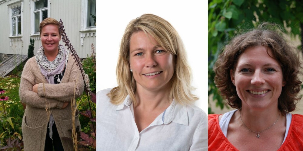 HAGEEKSPERTER: Fra venstre: Stina Kjønnås, gartner ved Langhus hagesenter, Hilde Poppe, gartner i Plantasjen og Tove Ladstein, informasjonsansvarlig i Opplysningskontoret for blomster og planter. HAGEEKSPERTER: Fra venstre: Stina Kjønnås, gartner ved Langhus hagesenter, Hilde Poppe, gartner i Plantasjen og Tove Ladstein, informasjonsansvarlig i Opplysningskontoret for blomster og planter.