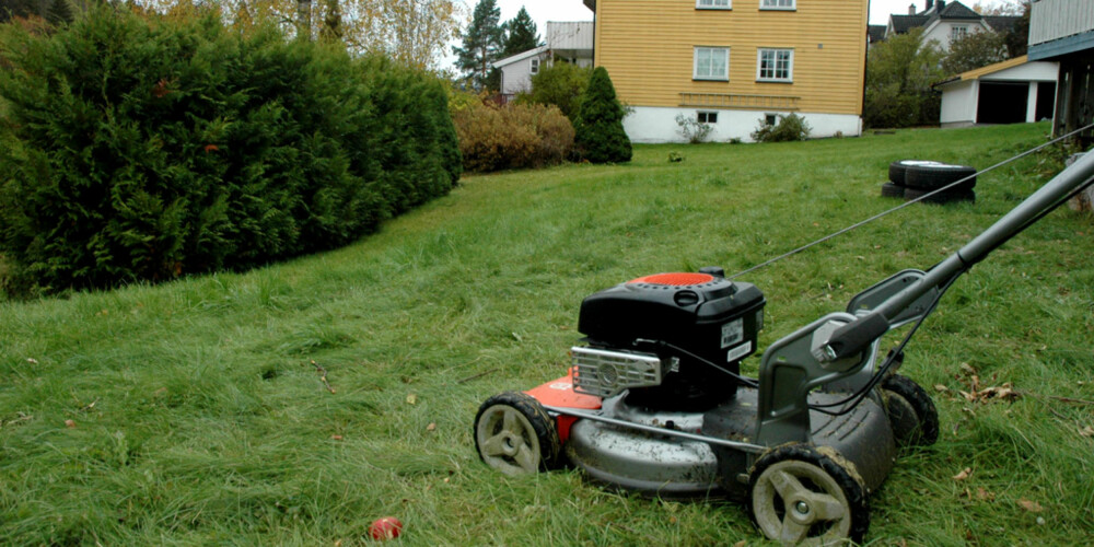 IKKE FOR TUNG: Hvis gressklipperen er for tung kan jorden trykkes sammen. Pass også på å ikke klippe for mye. IKKE FOR TUNG: Hvis gressklipperen er for tung kan jorden trykkes sammen. Pass også på å ikke klippe for mye.