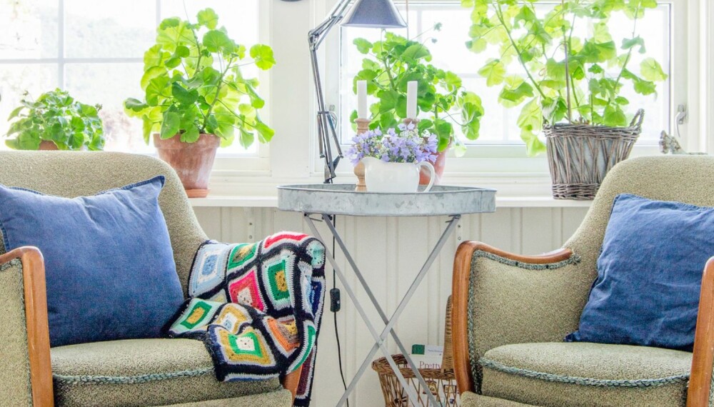 FARGERIKT: Pelargonier i vinduskarmen og smårutete vinduer gir glassverandafølelse innerst i stua. Lenestolene kommer fra Fretex, og den svarte lampa er kjøpt på Jysk. FARGERIKT: Pelargonier i vinduskarmen og smårutete vinduer gir glassverandafølelse innerst i stua. Lenestolene kommer fra Fretex, og den svarte lampa er kjøpt på Jysk.