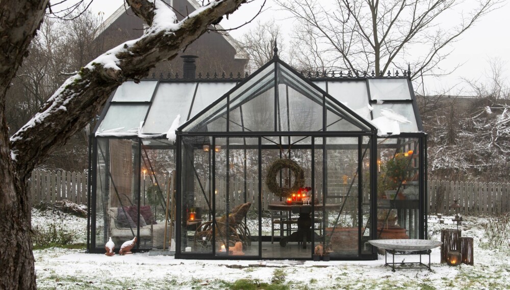 JUL I GLASSHUS: Det kommer gjester på adventsbesøk. Orangeriet er pyntet med kranser og levende lys. På bordet står tapas,
champagne og gløgg. Det dufter bjørkeved og krydder. Sofaen er fylt med myke pledd og saueskinn. Her er det godt å være. JUL I GLASSHUS: Det kommer gjester på adventsbesøk. Orangeriet er pyntet med kranser og levende lys. På bordet står tapas,
champagne og gløgg. Det dufter bjørkeved og krydder. Sofaen er fylt med myke pledd og saueskinn. Her er det godt å være.