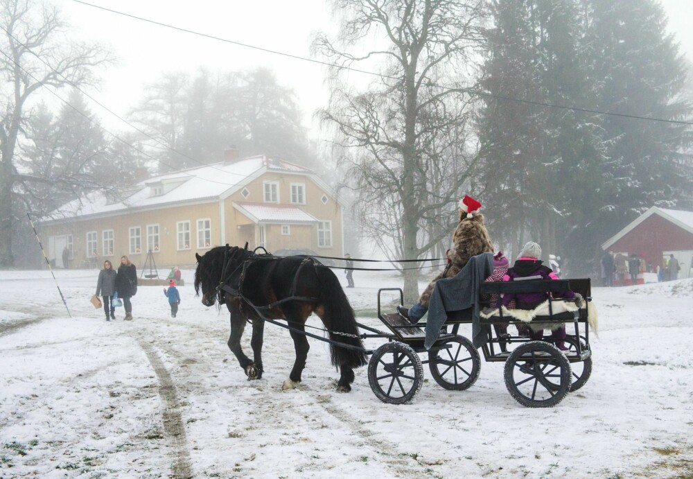 POPULÆRT: Julemarkedet på Aur prestegård er en reise tilbake i tid. Hesteskyss setter en spiss på det hele, og er en populær aktivitet for barna. POPULÆRT: Julemarkedet på Aur prestegård er en reise tilbake i tid. Hesteskyss setter en spiss på det hele, og er en populær aktivitet for barna.