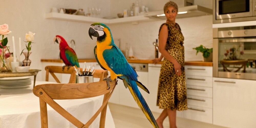 ORIGINALT: Papegøyer og damer i leopardkjoler er noen av de viktigste ingrediensene i denne boligstylingen. ORIGINALT: Papegøyer og damer i leopardkjoler er noen av de viktigste ingrediensene i denne boligstylingen.