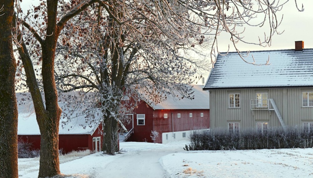 VELKOMMEN: Alleen inn til gårdstunet setter en stemningsfull ramme rundt livet på gården. VELKOMMEN: Alleen inn til gårdstunet setter en stemningsfull ramme rundt livet på gården.