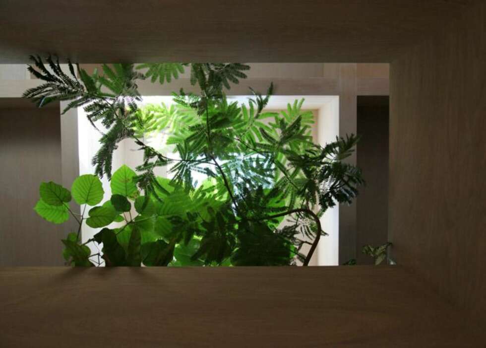INDRE HAGER: Lyssjakter gjør det mulig å ha hager på innsiden av dette huset. FOTO: Katsutoshi Sasaki + Associates INDRE HAGER: Lyssjakter gjør det mulig å ha hager på innsiden av dette huset. FOTO: Katsutoshi Sasaki + Associates