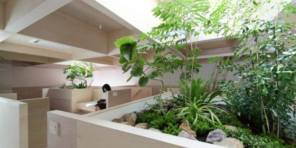 HALVVEGGER: Lyset strømmer inn i boligen fra vinduene høyt oppe på veggen. FOTO: Katsutoshi Sasaki + Associates HALVVEGGER: Lyset strømmer inn i boligen fra vinduene høyt oppe på veggen. FOTO: Katsutoshi Sasaki + Associates
