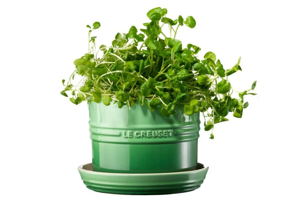 EGNE URTEPOTTER: Det finnes egne potter for urter. Denne er fra Le Creuset. EGNE URTEPOTTER: Det finnes egne potter for urter. Denne er fra Le Creuset.