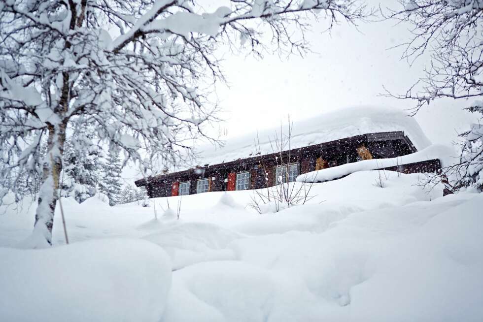 Kong Vinter: Trysil omtales som et snøsikkert sted. Denne hytta ble bygget i 1979. Størrelse: 58 kvm. Eiere: Ove Monsen og Terje Wallin Skipnes. Rominndeling: Kjøkken med åpen løsning mot stue. Tre soverom, bad og gang. Fasiliteter: Strøm og innlagt vann. Kong Vinter: Trysil omtales som et snøsikkert sted. Denne hytta ble bygget i 1979. Størrelse: 58 kvm. Eiere: Ove Monsen og Terje Wallin Skipnes. Rominndeling: Kjøkken med åpen løsning mot stue. Tre soverom, bad og gang. Fasiliteter: Strøm og innlagt vann.