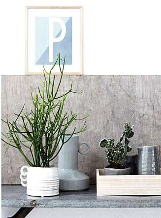 GRØNT ER SKJØNT: Dekorer med planter inne. FOTO: House Doctor GRØNT ER SKJØNT: Dekorer med planter inne. FOTO: House Doctor