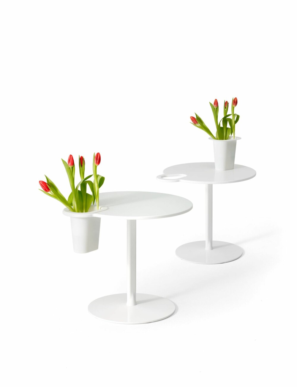 blomster blomster