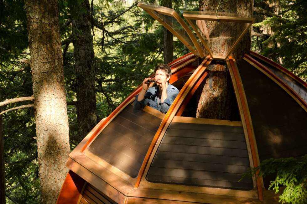 TAKLUKER: Utsikt var viktig da designeren skulle velge plassering for trehytta. Taklukene slipper inn lys og kan åpnes slik at beboeren kan nyte utsikten. TAKLUKER: Utsikt var viktig da designeren skulle velge plassering for trehytta. Taklukene slipper inn lys og kan åpnes slik at beboeren kan nyte utsikten.