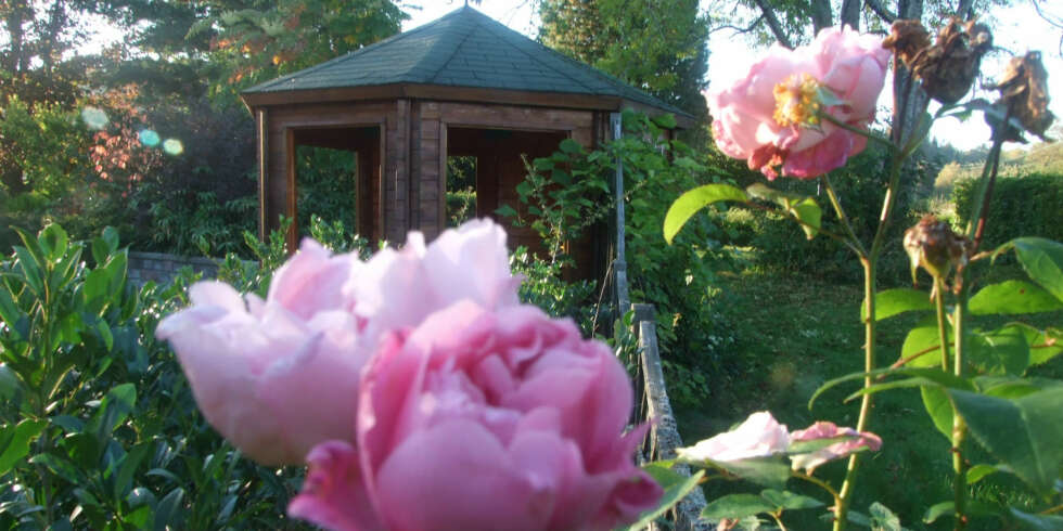 VAKKERT: Roser skaper stemning i hagen og mange drømmer om blomstrende rosebusker. Her fra demonstrasjonshagen til Bo Grønt Rom hagemiljø. VAKKERT: Roser skaper stemning i hagen og mange drømmer om blomstrende rosebusker. Her fra demonstrasjonshagen til Bo Grønt Rom hagemiljø.
