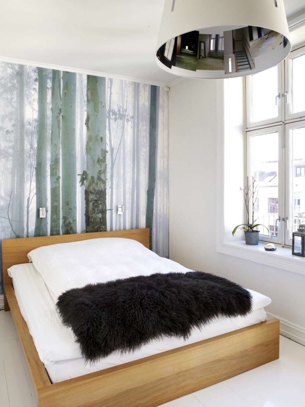 TAPET: En stilig fototapet kan fungere flott som dekorasjon på veggen bak sengen. Det bryter opp det hvite rommet og skaper et dekorativt blikkfang. TAPET: En stilig fototapet kan fungere flott som dekorasjon på veggen bak sengen. Det bryter opp det hvite rommet og skaper et dekorativt blikkfang.