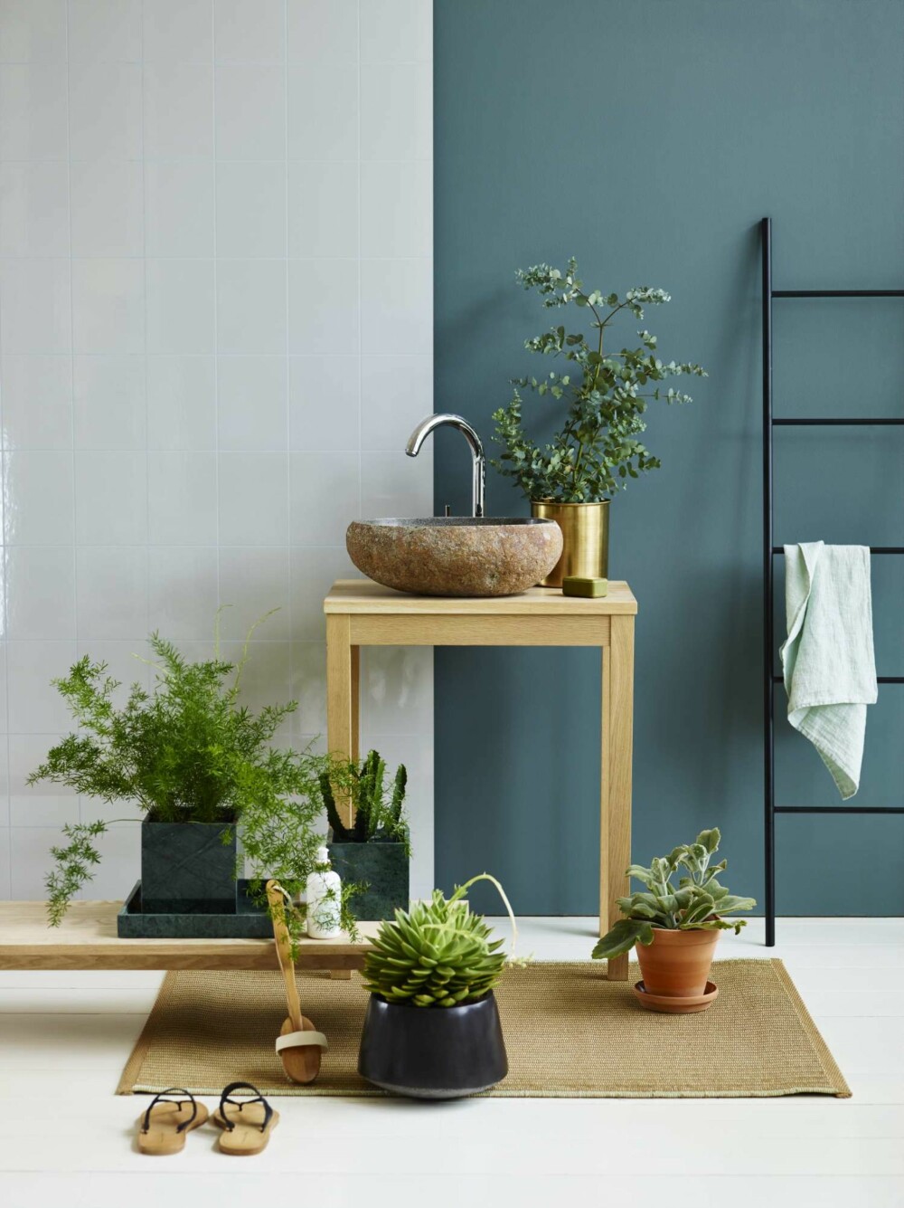 GRØNT BAD: Mange planter har det ekstra fint på badet. Om du ikke har dagslys, og velger plater som trenger det, kan du sirkulere litt og sette dem ut i stua med jevne mellomrom. GRØNT BAD: Mange planter har det ekstra fint på badet. Om du ikke har dagslys, og velger plater som trenger det, kan du sirkulere litt og sette dem ut i stua med jevne mellomrom.