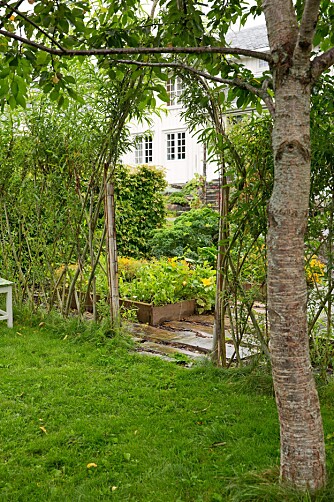 SØTT: Dette er porten inn til den lille grønnsak-hagen hvor det dyrkes salat, sukkererter, bønner, selleri og løk i godt samspill med sommerblomster – som tagetes. SØTT: Dette er porten inn til den lille grønnsak-hagen hvor det dyrkes salat, sukkererter, bønner, selleri og løk i godt samspill med sommerblomster – som tagetes.