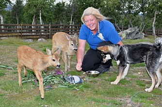 STORT ANSVAR: Anne Grete Lindvik er dyreansvarlig ved EKT Langedrag. – Å flaske opp dyreunger er krevende,
men fantastisk, sier hun. STORT ANSVAR: Anne Grete Lindvik er dyreansvarlig ved EKT Langedrag. – Å flaske opp dyreunger er krevende,
men fantastisk, sier hun.