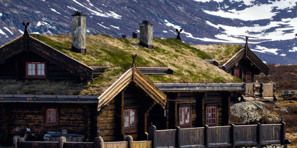 VEDLIKEHOLD AV TORVTAK: Et torvtak trenger vedlikehold i form av gjødsling og kalking. Dessuten bør det slås en gang i året. VEDLIKEHOLD AV TORVTAK: Et torvtak trenger vedlikehold i form av gjødsling og kalking. Dessuten bør det slås en gang i året.