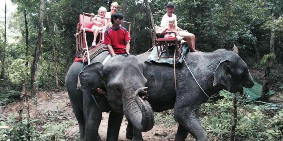 RED PÅ ELEFANT: Hele familien fikk med seg en ridetur på elefant. RED PÅ ELEFANT: Hele familien fikk med seg en ridetur på elefant.
