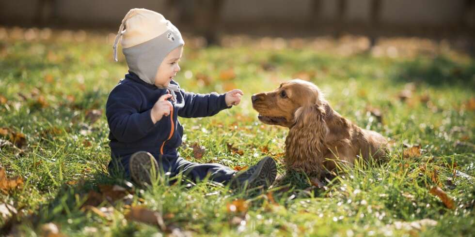 FOTOKONKURRANSE: Send oss dine beste blinkskudd av barn og hund, vinn barnesko! FOTOKONKURRANSE: Send oss dine beste blinkskudd av barn og hund, vinn barnesko!