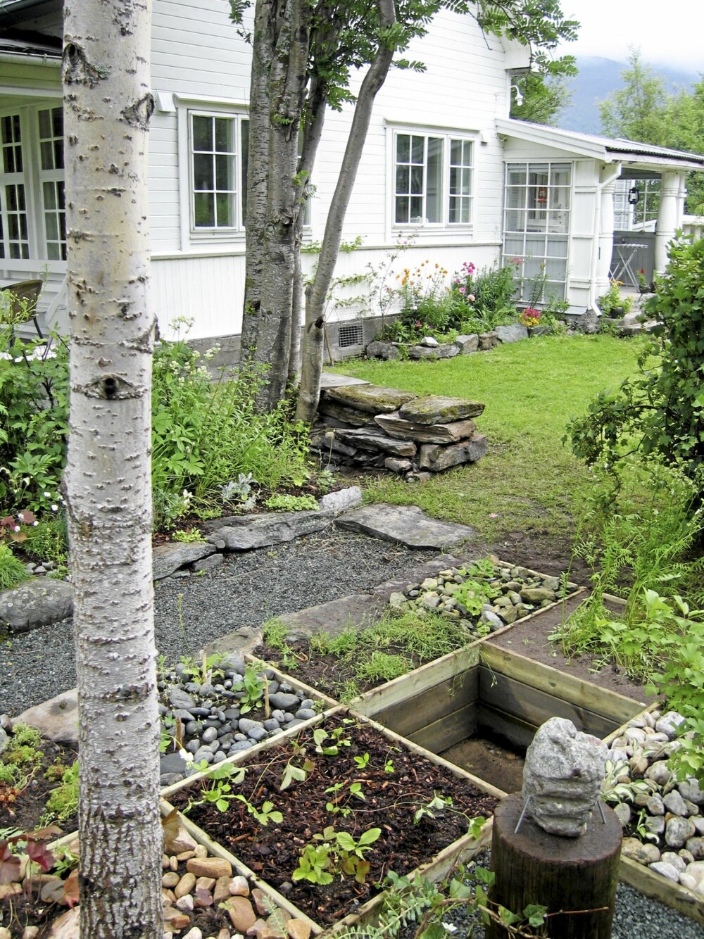 TIDSBESPARENDE: Deler av hagen er øremerket blomster og urter. Organiseres dette i trekassetter som dette, med ett rom for hver vekst får du både oversikt og et system det er lett å vedlikeholde. TIDSBESPARENDE: Deler av hagen er øremerket blomster og urter. Organiseres dette i trekassetter som dette, med ett rom for hver vekst får du både oversikt og et system det er lett å vedlikeholde.