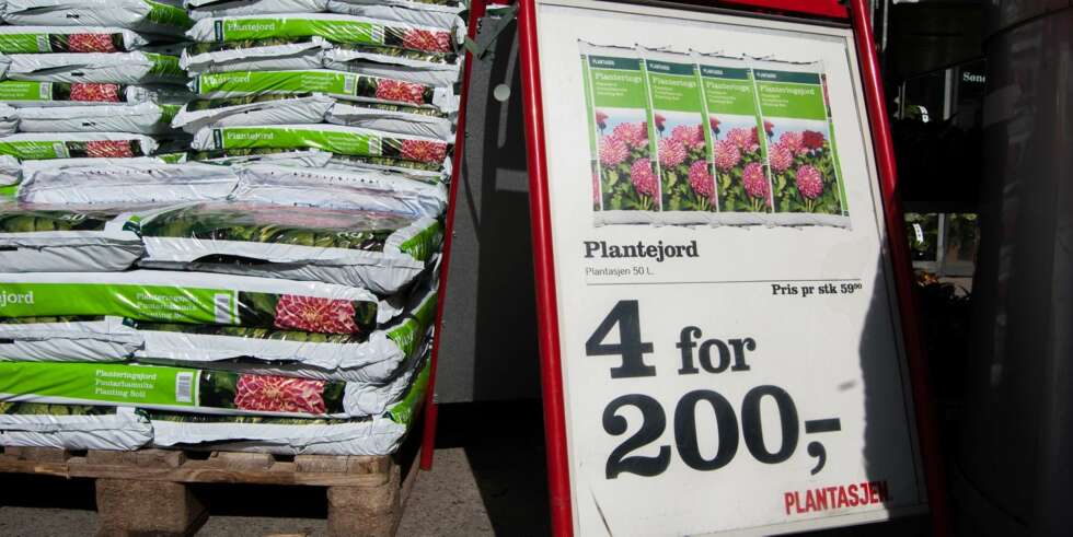 IKKE LIKE BRA SOM KOMPOST: Plantejorden er bedre - og dyrere - enn hagejorden, men ikke like bra som kompostert jord. IKKE LIKE BRA SOM KOMPOST: Plantejorden er bedre - og dyrere - enn hagejorden, men ikke like bra som kompostert jord.