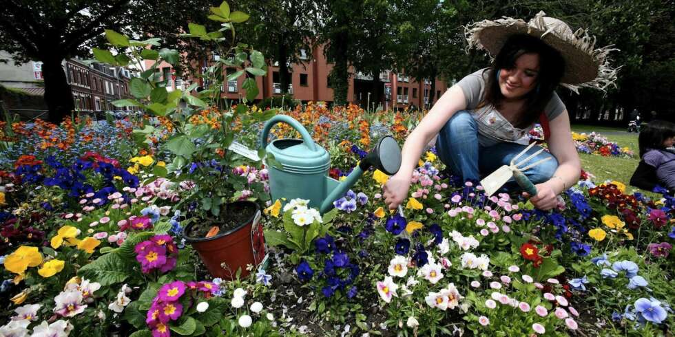 NYBEGYNNERFEIL: Det ikke mange vet er at alle planter trives best hvis de blir plantet på et sted som ligner mest mulig på de naturlige omgivelsene de nedstammer fra. NYBEGYNNERFEIL: Det ikke mange vet er at alle planter trives best hvis de blir plantet på et sted som ligner mest mulig på de naturlige omgivelsene de nedstammer fra.