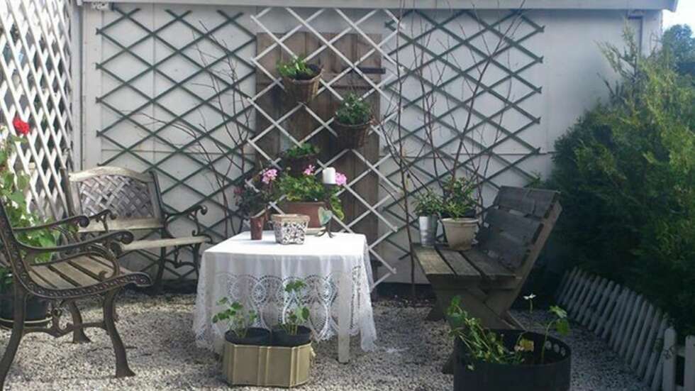 RIMELIG OG BRA: Tre stykker med espalier fra Biltema er satt opp på veggen ved uuteplassen, de rammer inn den hyggelige kroken. RIMELIG OG BRA: Tre stykker med espalier fra Biltema er satt opp på veggen ved uuteplassen, de rammer inn den hyggelige kroken.