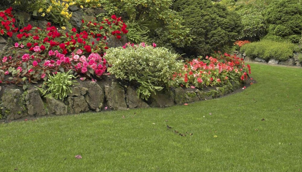 Phenomenally beautiful and picturesque garden for walks and supervision over flowers and trees Phenomenally beautiful and picturesque garden for walks and supervision over flowers and trees