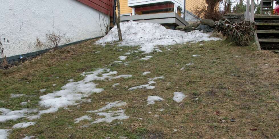 VÅRTRIST PLEN: En gressplen som dukker frem fra snøen er sjelden et vakkert syn, men det er ofte ikke mye som skal til for å få liv i den. VÅRTRIST PLEN: En gressplen som dukker frem fra snøen er sjelden et vakkert syn, men det er ofte ikke mye som skal til for å få liv i den.