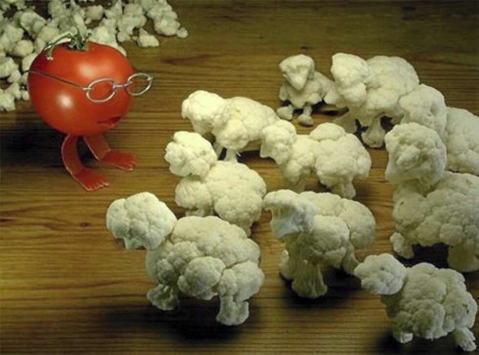 FÅREKÅL: Blomkål som breker. FÅREKÅL: Blomkål som breker.
