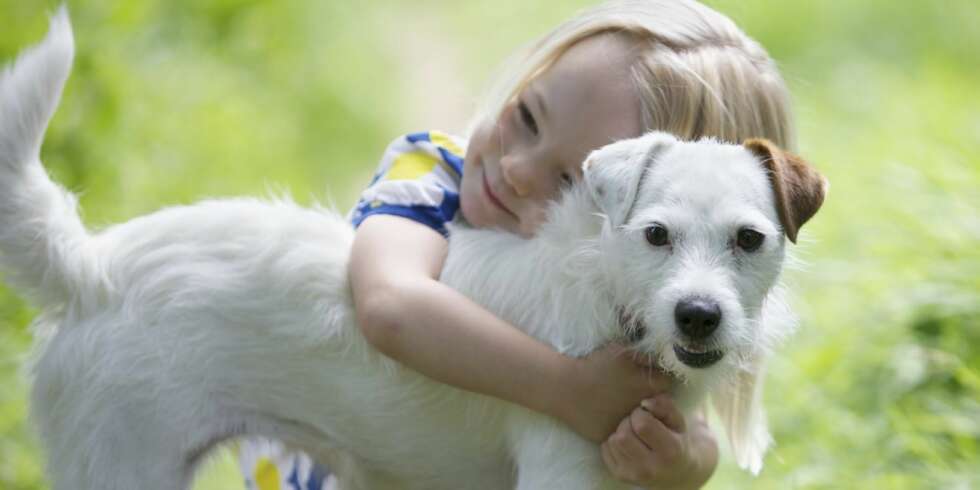 BESTEVENNER: Barn og hund går stort sett veldig godt sammen, men jobb med å skape en god kontakt så tidlig som mulig. BESTEVENNER: Barn og hund går stort sett veldig godt sammen, men jobb med å skape en god kontakt så tidlig som mulig.