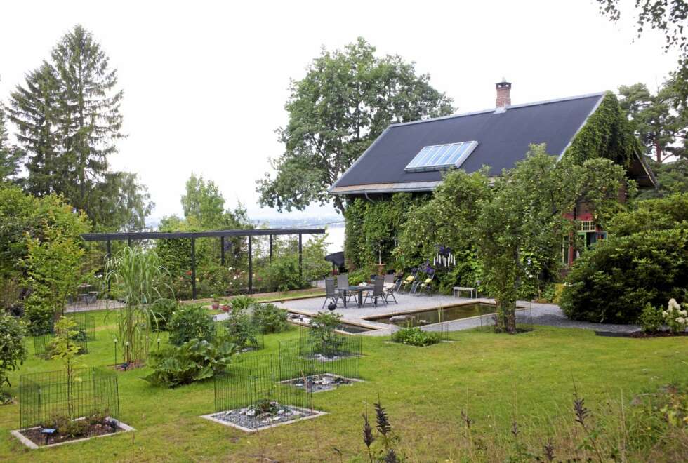 GRØNTOMRÅDE. Tømmerhuset er fra 1912, og det er overgrodd av villvin og kaprifoler, men i hagen er det system. GRØNTOMRÅDE. Tømmerhuset er fra 1912, og det er overgrodd av villvin og kaprifoler, men i hagen er det system.