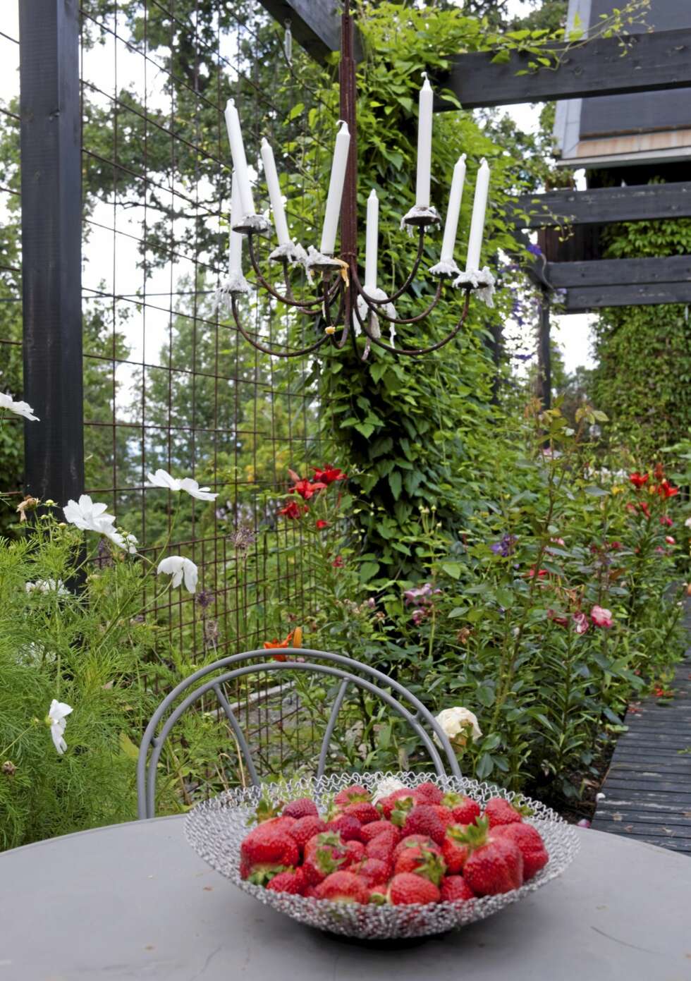 SKJERMET. Armeringsjernet gir fin boltreplass for klatreplanter, og det gir en skyggefull plass en varm sommerdag. Her er det lett å henge opp lysekroner og annen pynt. SKJERMET. Armeringsjernet gir fin boltreplass for klatreplanter, og det gir en skyggefull plass en varm sommerdag. Her er det lett å henge opp lysekroner og annen pynt.