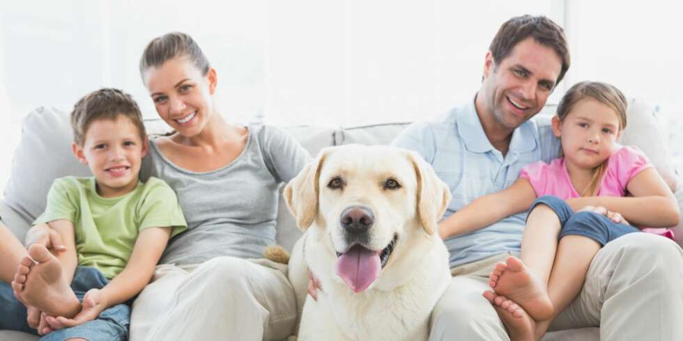 HVILKET DYR: Mange ser på to barn og en hund som den ultimate familen. Men det er mange hensyn som må tas. HVILKET DYR: Mange ser på to barn og en hund som den ultimate familen. Men det er mange hensyn som må tas.