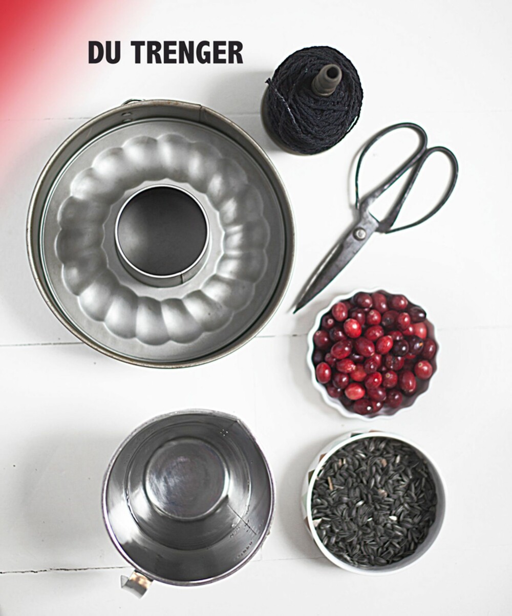 FUGLEMAT: Det meste at det dere trenger finnes i huset fra før. FUGLEMAT: Det meste at det dere trenger finnes i huset fra før.
