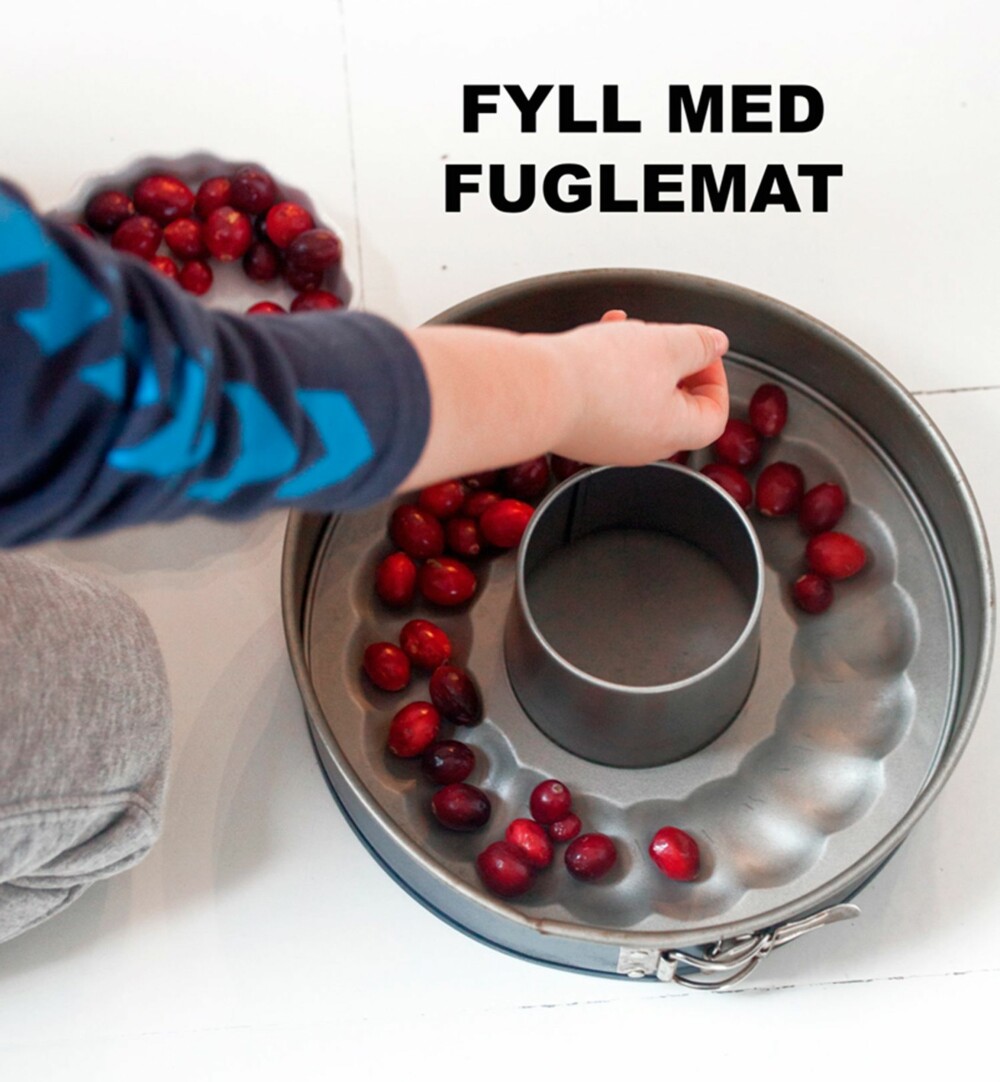 FRØ OG BÆR: Fyll beholderen med mat. Vi brukte solsikkefrø og tranebær. FRØ OG BÆR: Fyll beholderen med mat. Vi brukte solsikkefrø og tranebær.