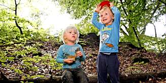 TROLLUNGER: Her letes det etter troll i skogen, og da smaker det ekstra godt med ei brunostskive i lete-pausen. TROLLUNGER: Her letes det etter troll i skogen, og da smaker det ekstra godt med ei brunostskive i lete-pausen.