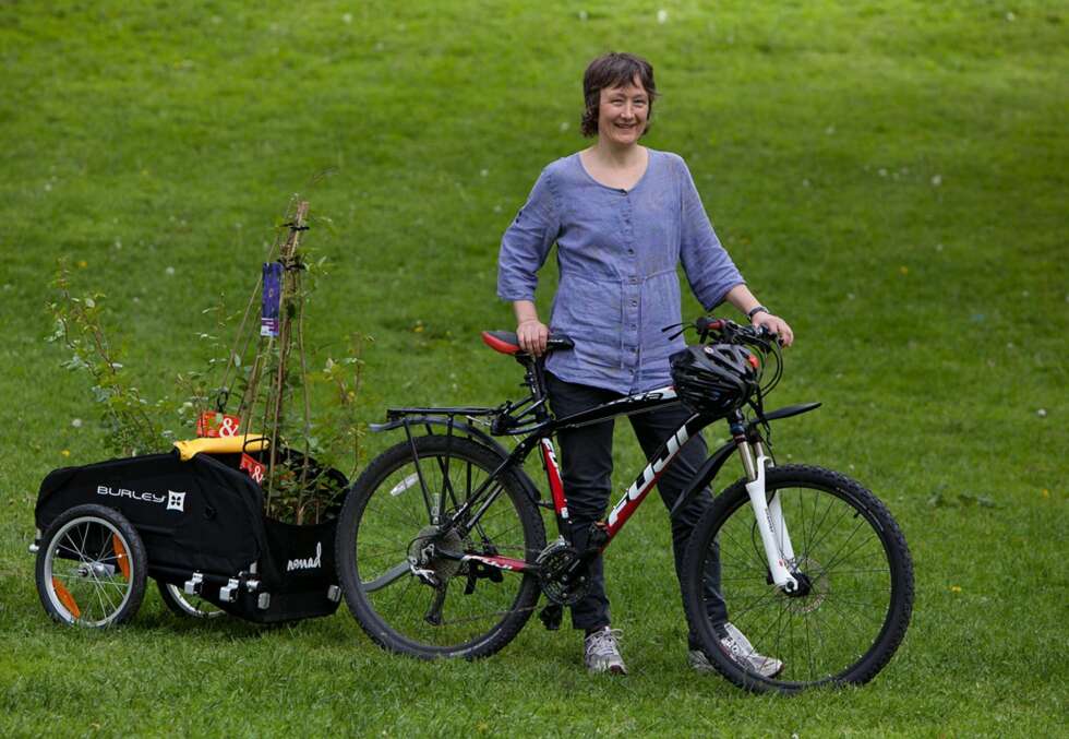 Brita sykler på en Burley Nomad med tilhenger. Brita sykler på en Burley Nomad med tilhenger.