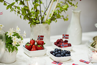 HVITVEIS: Det er ikke sikkert hvitveisen blomstrer der du er på 17. mai, men kanskje liljekonvallen har vist seg? Dersom ingen av delene er tilgjengelig - hvorfor ikke ta inn noen bjørkekvister? Norgesglass og skåler fra Christiania Glasmagasin HVITVEIS: Det er ikke sikkert hvitveisen blomstrer der du er på 17. mai, men kanskje liljekonvallen har vist seg? Dersom ingen av delene er tilgjengelig - hvorfor ikke ta inn noen bjørkekvister? Norgesglass og skåler fra Christiania Glasmagasin