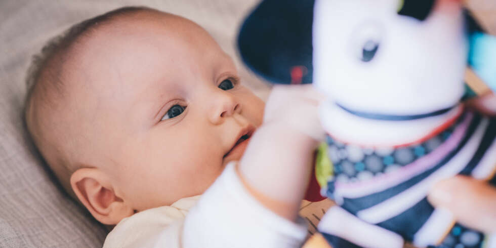 TEST AV BABYLEKER MED LYD: - Barnet ditt er utsatt for støy i barnehage og hverdagsliv. Summen av dette kan medføre hørselsskader. For noen kan disse lekene være dråpen som får begeret til å flyte over, advarer generalsekretær Anders Hegre i Hørselshemmedes Landsforbund. TEST AV BABYLEKER MED LYD: - Barnet ditt er utsatt for støy i barnehage og hverdagsliv. Summen av dette kan medføre hørselsskader. For noen kan disse lekene være dråpen som får begeret til å flyte over, advarer generalsekretær Anders Hegre i Hørselshemmedes Landsforbund.