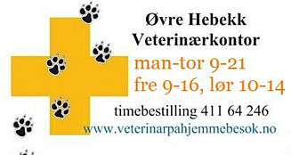 KILDE: Veterinær Anneli W. Harlem ved Øvre Hebekk Veterinærkontor. KILDE: Veterinær Anneli W. Harlem ved Øvre Hebekk Veterinærkontor.