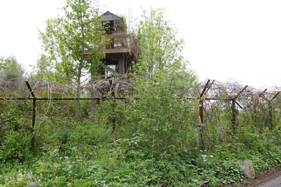 FIENDTLIG SHOWHAGE: DMZ Forbidden Garden er inspirert av konflikten mellom Nord- og Sør-Korea. Den lite innbydende hagen er designet av Jihae Hwang. FIENDTLIG SHOWHAGE: DMZ Forbidden Garden er inspirert av konflikten mellom Nord- og Sør-Korea. Den lite innbydende hagen er designet av Jihae Hwang.