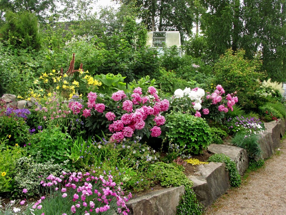 TA UGRESSET TIDLIG: Ikke la ugresset vokse seg for stort. Bunndekkende planter kan dessuten hjelpe deg på veien. TA UGRESSET TIDLIG: Ikke la ugresset vokse seg for stort. Bunndekkende planter kan dessuten hjelpe deg på veien.
