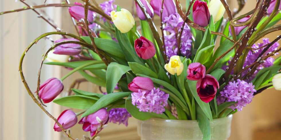 ALT ER LOV: Bruk gjerne fantasien når du pynter med tulipaner. Alt er lov. Her har buketten fått en ekstra snert ved å kombinere blomstene med bøyde kvister. ALT ER LOV: Bruk gjerne fantasien når du pynter med tulipaner. Alt er lov. Her har buketten fått en ekstra snert ved å kombinere blomstene med bøyde kvister.